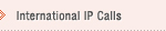 International IP Calls
