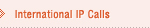 International IP Calls